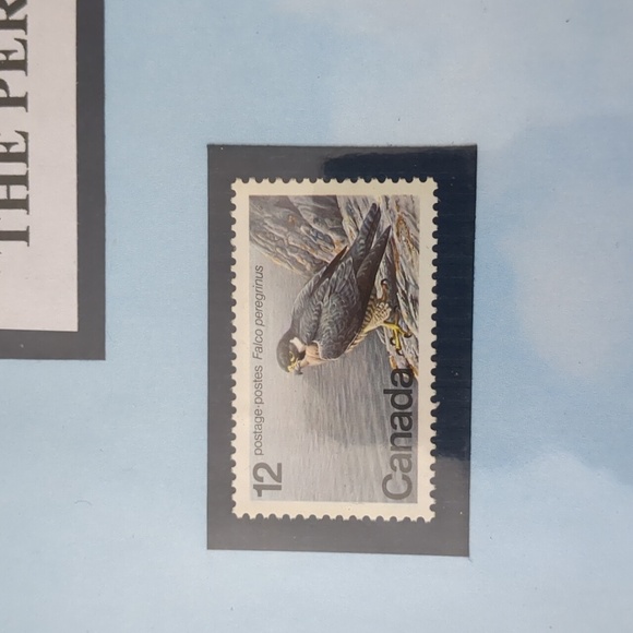 Peregrine Falcon Stamp Collection - Picture 2 of 6